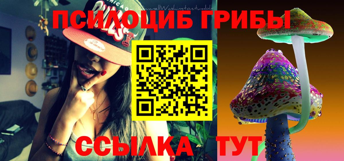 Белово  Псилоцибиновые грибы мухоморы  Вход с VPN  Псилоцибиновые грибы Psilocybe 