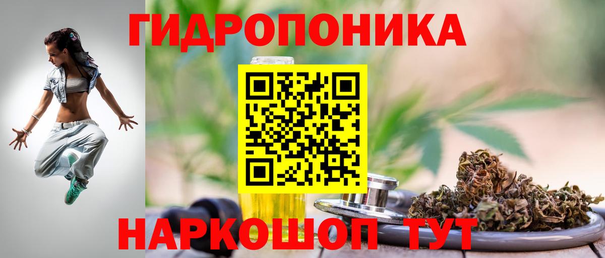 Конопля Bruce Banner Белово